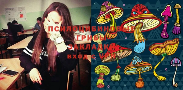 не бодяженный Арсеньев